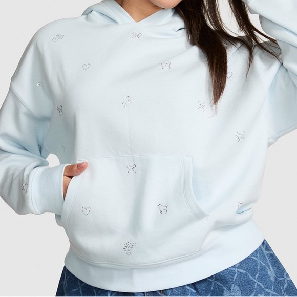 Blue Womens MEDIUM PINK LoveShackFancy oversized hoodie sweatshirt glacier mist - Picture 9 of 11